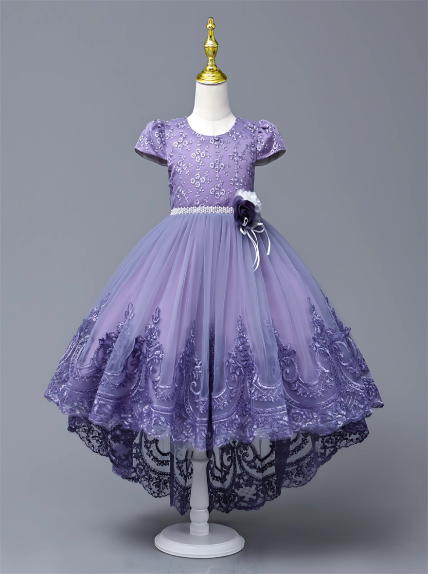 Imported China Purple Princess Luxury Frock
